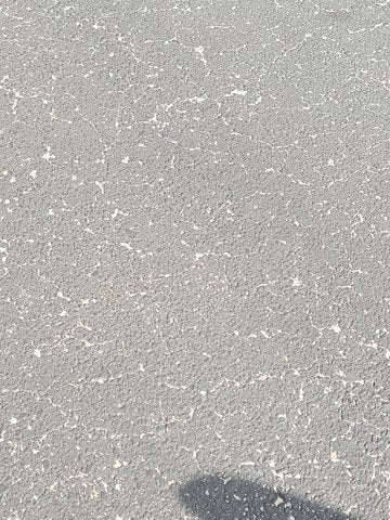 2019 Toyota TACOMA SR5 SR5