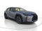 2025 Lexus UX300h UX 300h