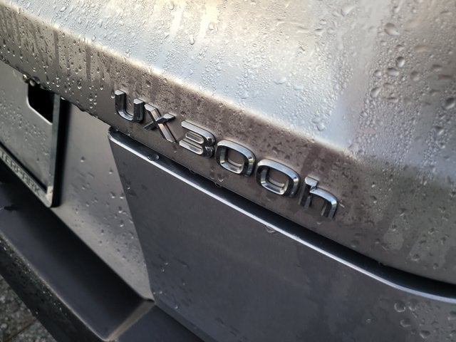 2025 Lexus UX300h UX 300h