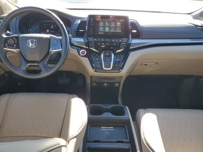2024 Honda Odyssey Elite
