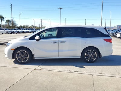 2024 Honda Odyssey Elite