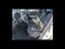 2023 Jeep Renegade Upland